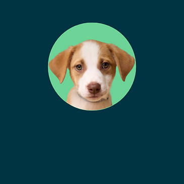 Home page Nav (3).png