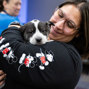 women in Black sweater happily holding a puppy