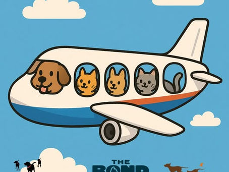 Graphic image of cats and dogs flying in a plane with a happy face