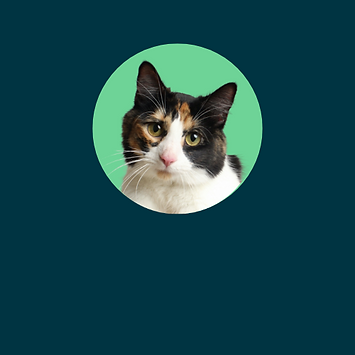 Home page Nav (2).png