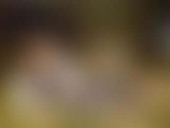 É possível saber se um desencarnado está bem e pode se comunicar?