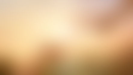 Como o Espiritismo pode ajudar uma pessoa encarnada a suportar a perda de um ente querido? 