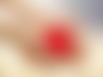 O que é a atividade do Diálogo Fraterno?