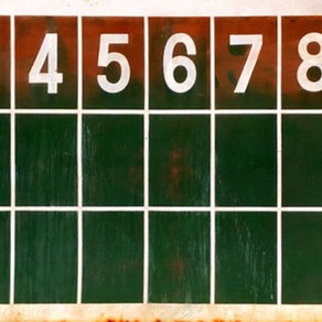 ▶︎秋季葛西東支部大会:八幡シャークス vs Cチーム