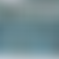 2023 第二十三戦 ゴールデンタイガー