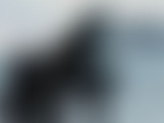 Ludovico Einaudi, otra forma de ver la música
