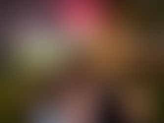 Flying (in) Happiness