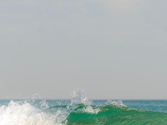 Seeing the Forest from the Trees