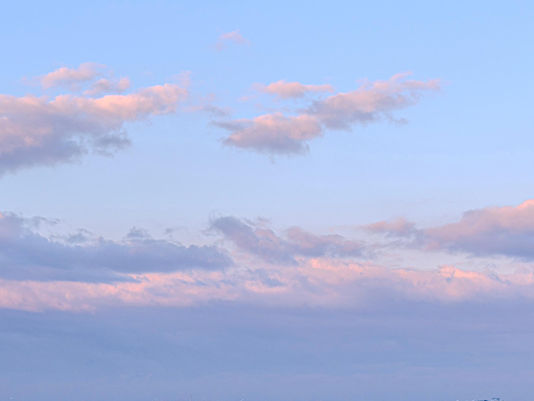 Searching for Light in Dark Times