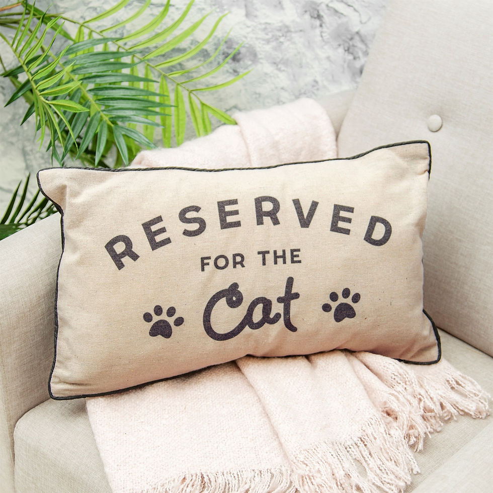 Reserved for the cat cushion