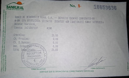 Ejemplo Boleta.jpg