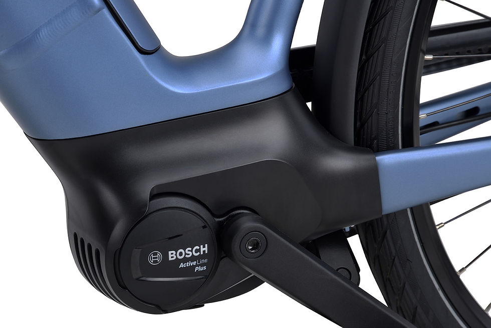 Miniature : Batavus Finez e-go power exclusive