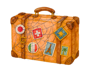 Ahnenkrempel und sein Echo in der Gegenwart