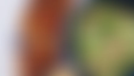 Middle Eastern Mezze