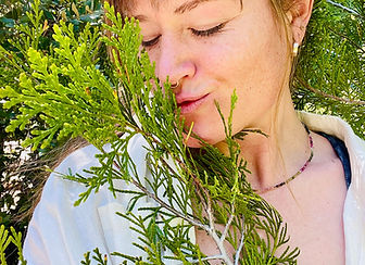 Nature, mountains, and wilderness imagery reflecting Ayurvedic lifestyle, seasonal living, yoga, and holistic healing practic