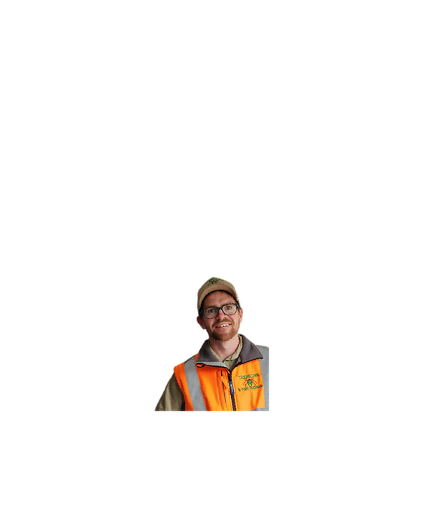 Website cutouts.png