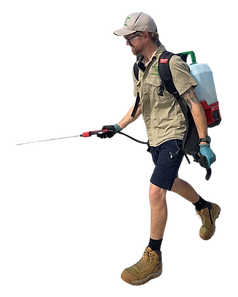 Website cutouts-2.png