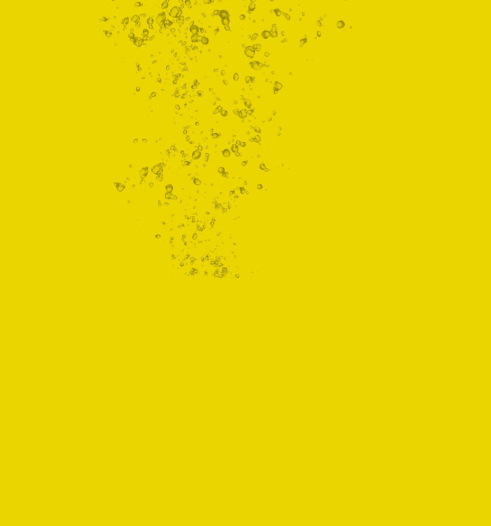 OKINAWA LEMON_邏譚申yellow back.jpgの複製