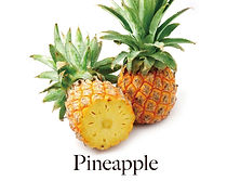 pine_f.jpg