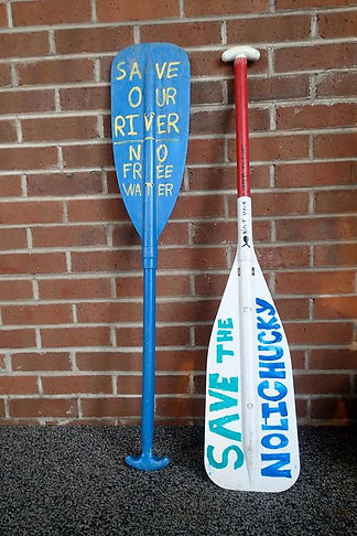 paddles.jpg