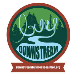 Buy Downstream Logo