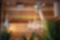 A182C316-9122-4E03-AC79-C292B9A5DB9B_edited.jpg