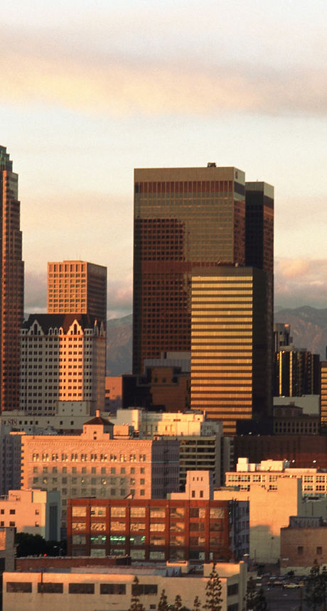 City Skyline