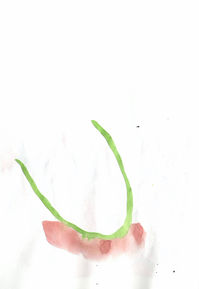 Scan 65.jpeg