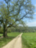 The Healing Path Retreat - (Weekend)