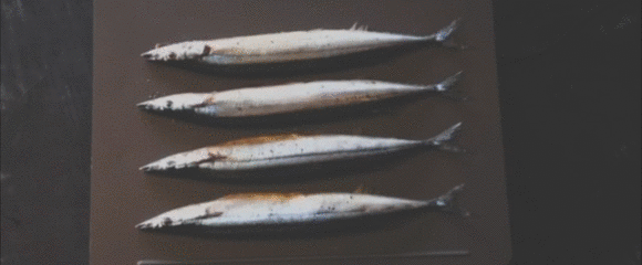 image001.gif