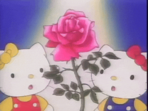 giphy (12).gif