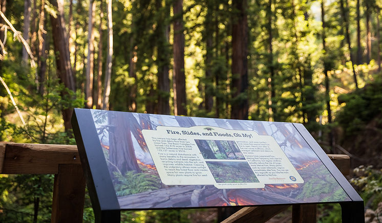 An interpretive panel about fire danger and other hazards