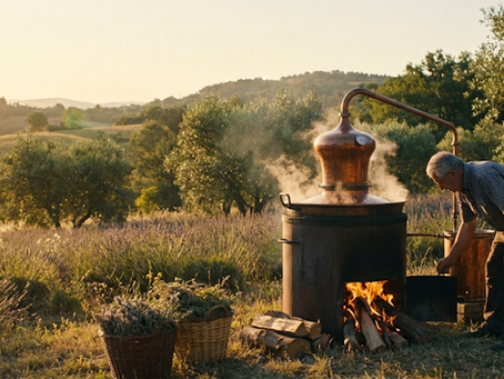 Huiles essentielles artisanales : pourquoi la distillation change tout ?