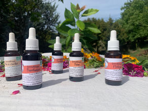 🌱 Qu’est-ce que la gemmothérapie et comment sont préparés nos macérâts de bourgeons ?