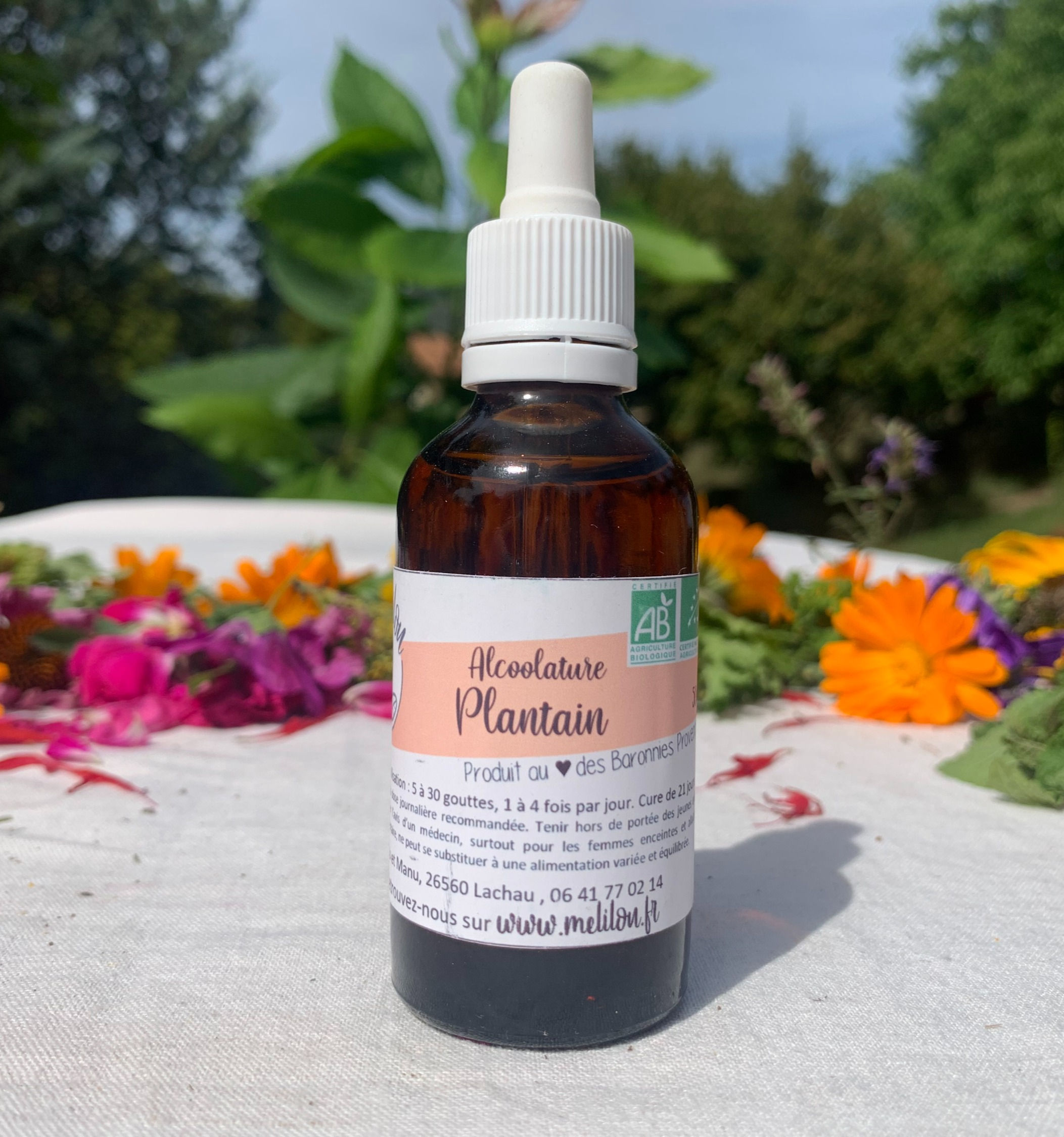 Teinture mère bio Plantain