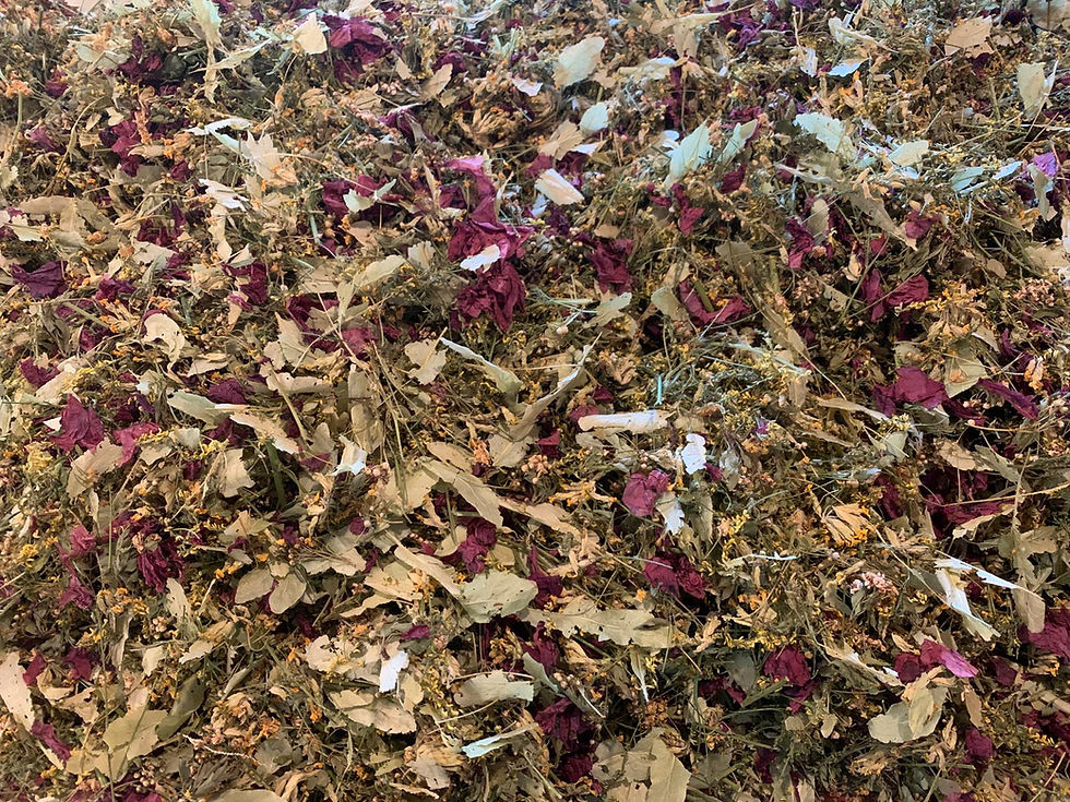 tisane bio
