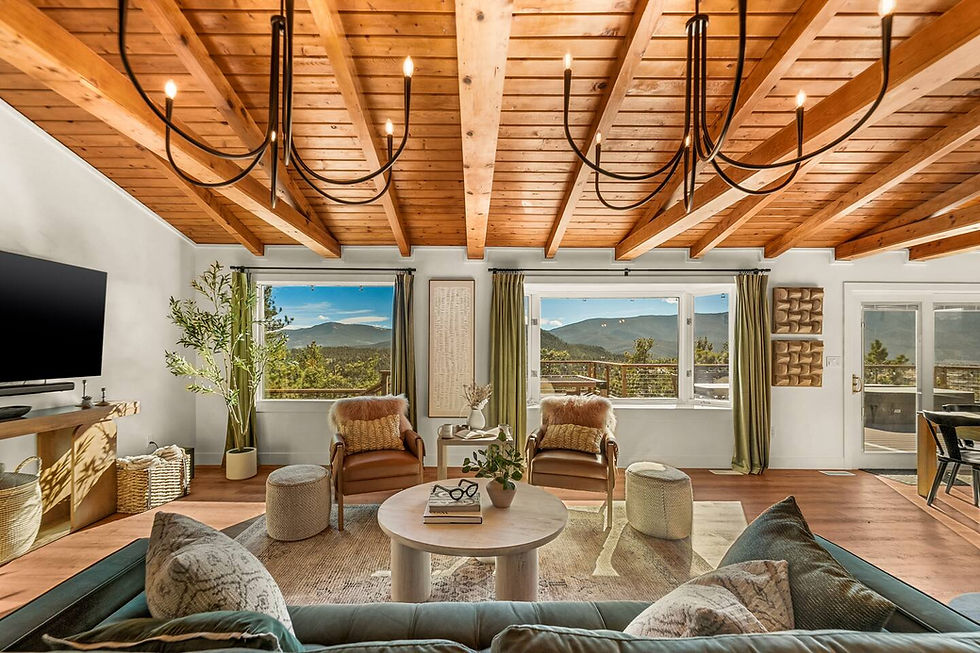 cozy-living-room-house-bailey-colorado