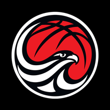 Make A Difference At Basketball Illawarra - Join A Sub-Committee!