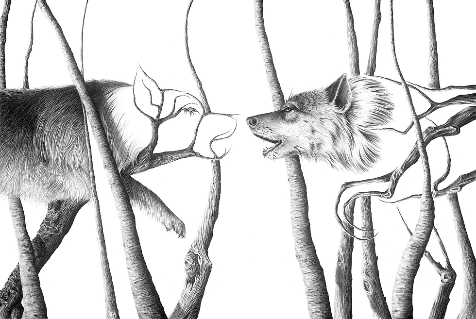 THE ENCOUNTER