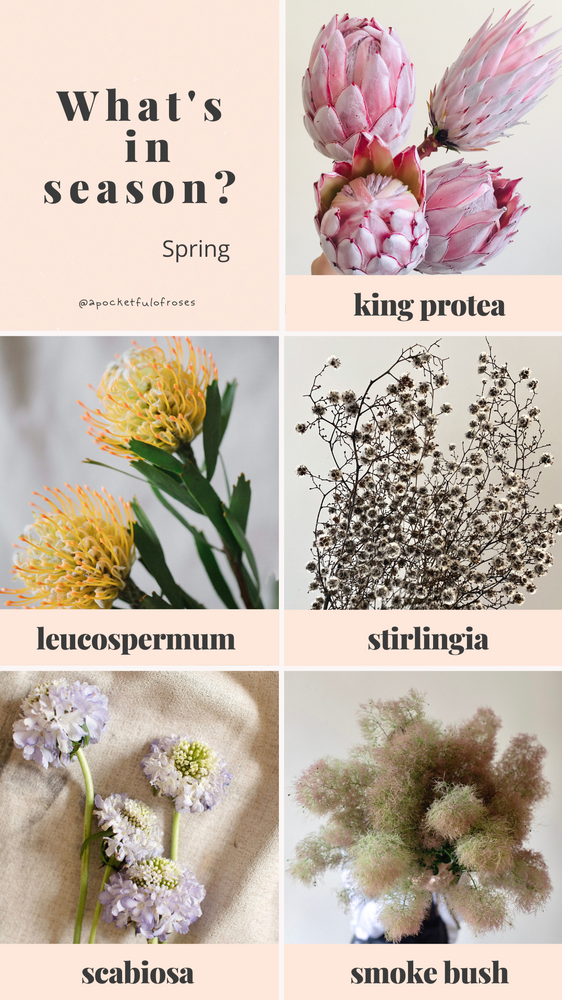 What's in season? Spring