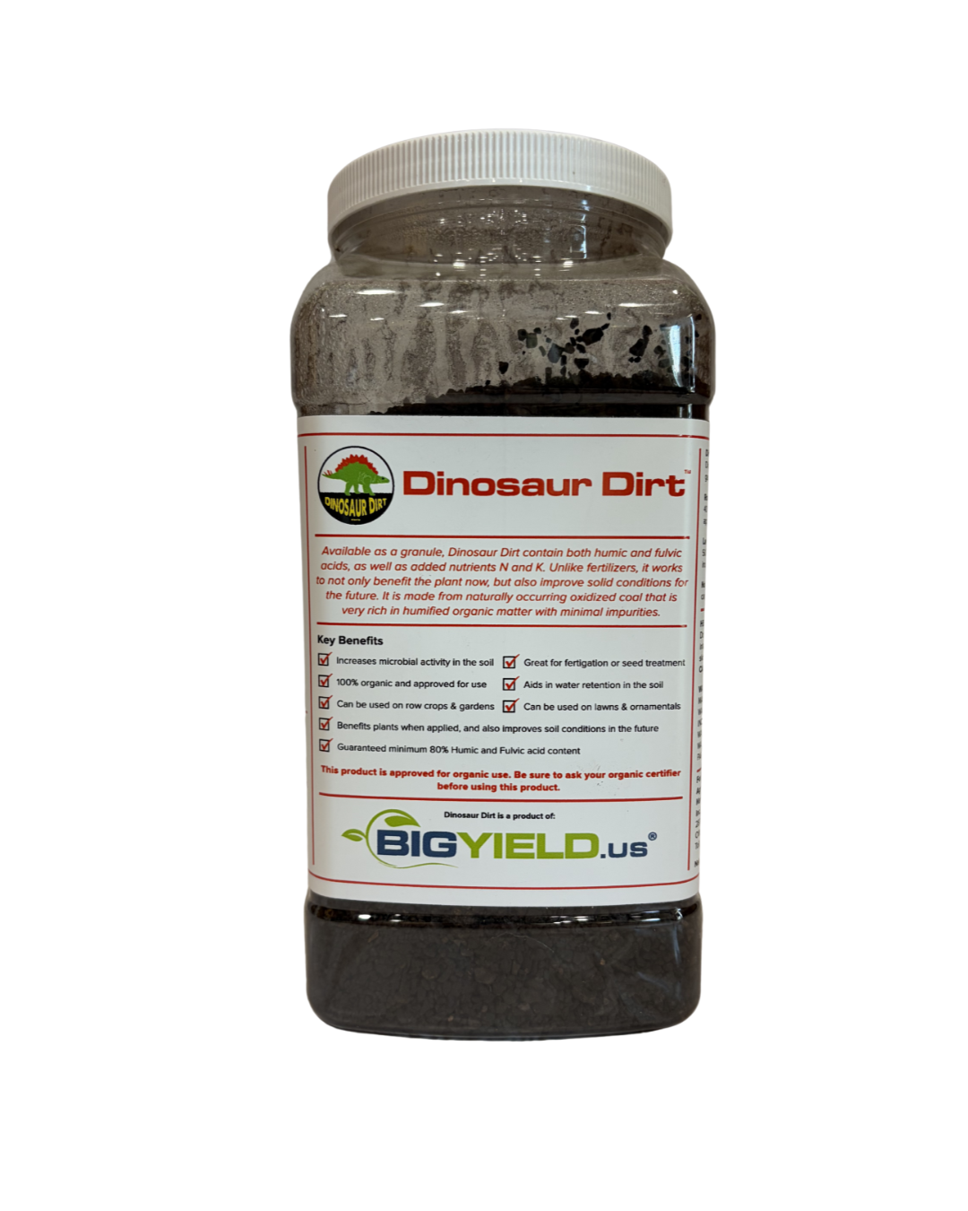 Dinosaur Dirt