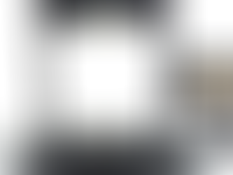 NOUVEAU SCANNER ZEUTSCHEL OS C