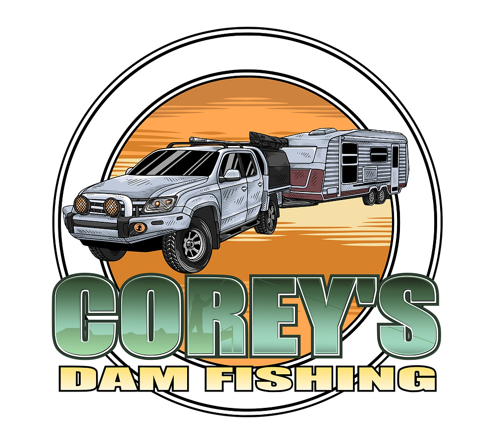 Welcome to Our Budget Van Build Series: Transforming a 1998 Caravan ...