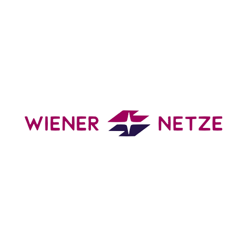 Wiener Netze