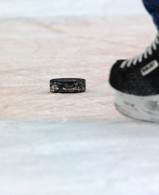 Hockey Puck
