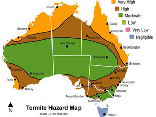 Why Do I Need A Termite Inspection & How Do I Find Someone Suitably Qualified To Do One?