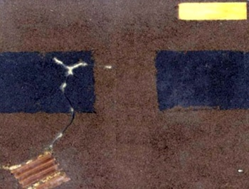 Non-Repellent: Termites entering a non-repellent Fipronil treated zone.