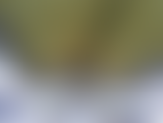 Polyurethane Foam: Insulasi Termal dan Akustik Terbaik di Indonesia