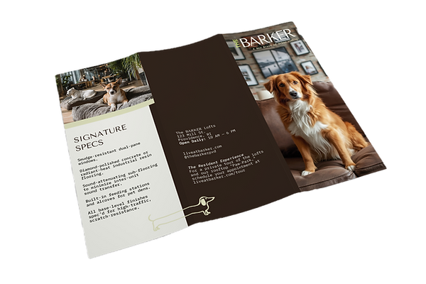 brochure back_edited.png