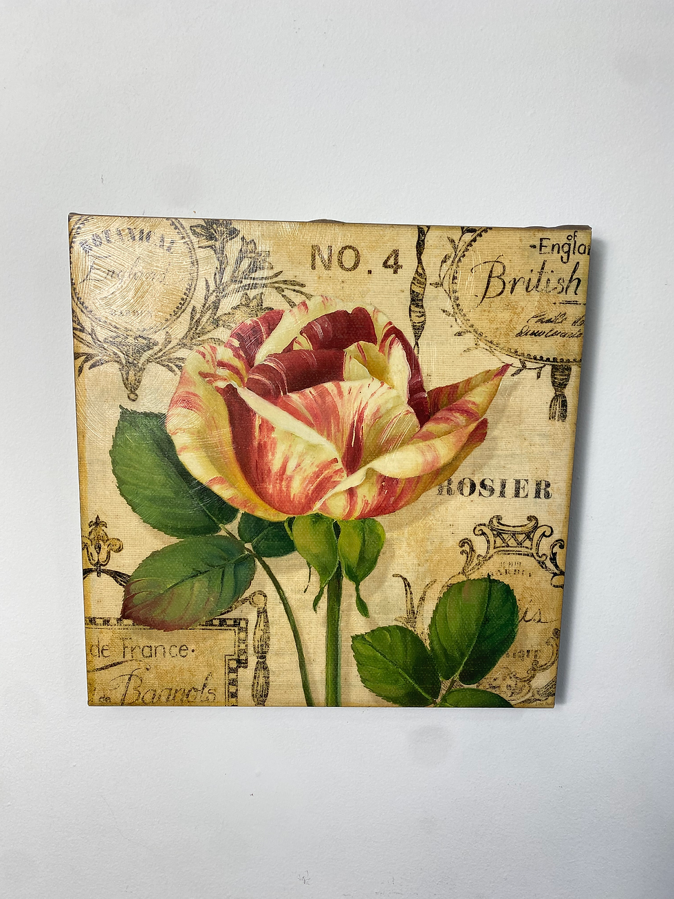 Thumbnail: Roses 